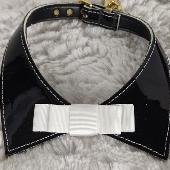 Dog Collar & Leash 12 - Picture 4 of 5